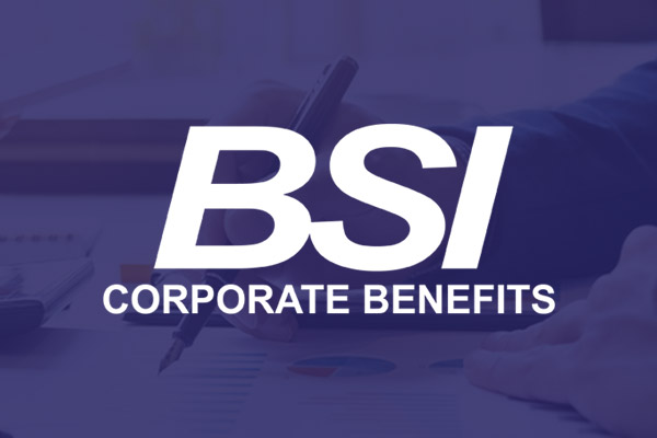 Private Sector Client