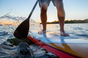 Don’t Find Yourself Up a Creek Without a Paddle this Renewal Season